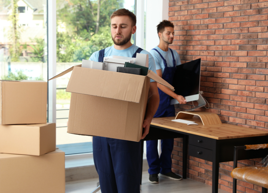 deep cleaning (11) deep cleaning (11)